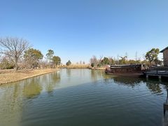 -宁波杭州湾国家湿地公园