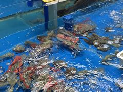 -明本海鲜大排档·鱼生海鲜烧烤宵夜(陈家祠店)