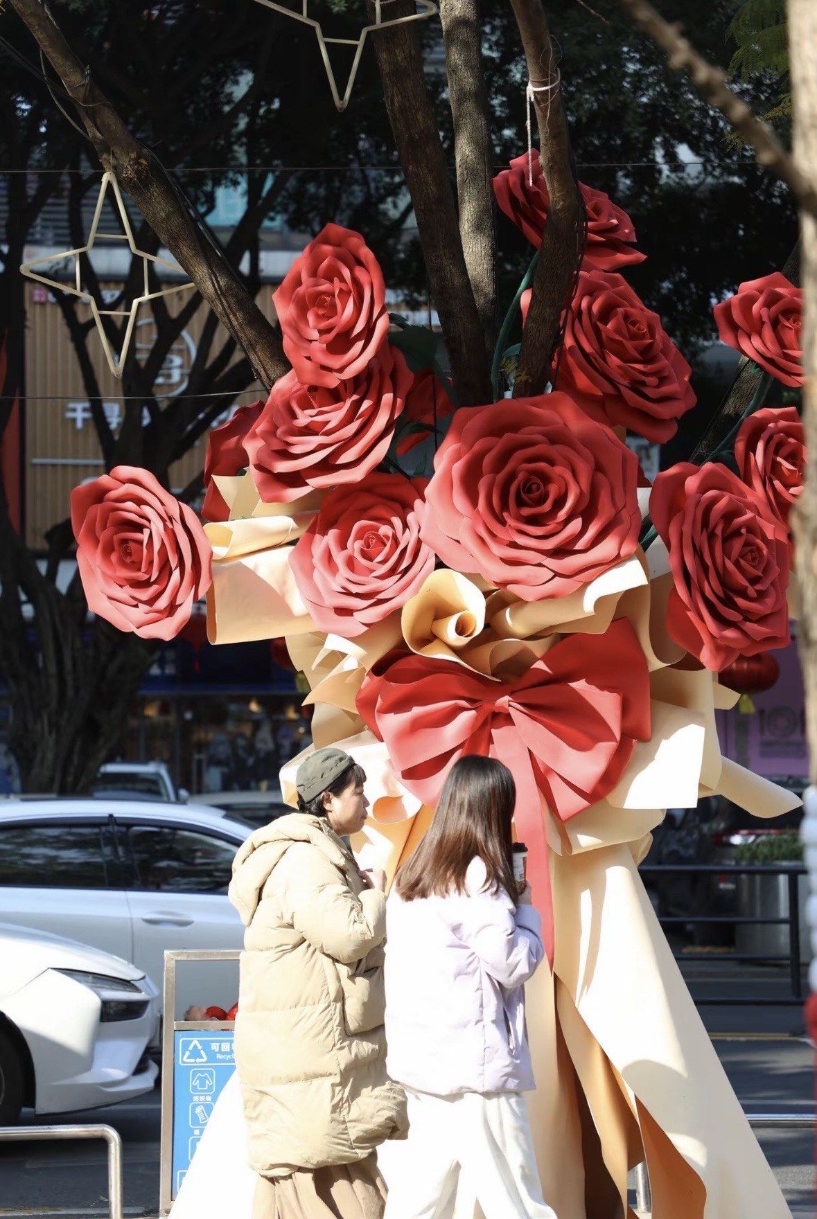 重庆真的好浪漫 街头的玫瑰花树🌹