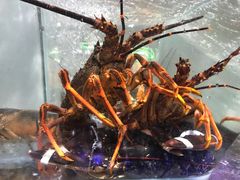 -盒马鲜生(悠方店)