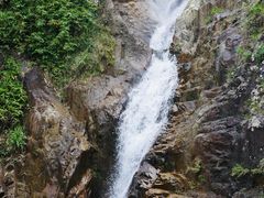 -霸王岭国家森林公园