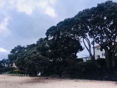 -Takapuna Beach Cafe