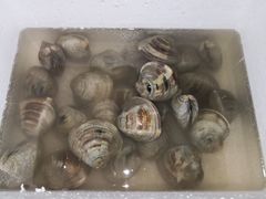 -水果天空(东葛店)