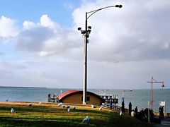 -企鹅岛