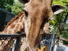 -荆州中山公园动物园