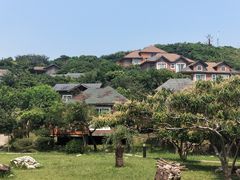-杨梅坑