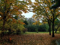 -国家植物园南园