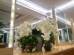 -In Style造型