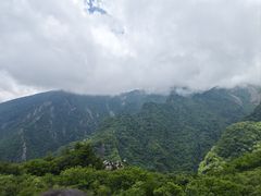 -牛背梁国家森林公园