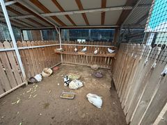 -廊坊固安福朋喜来登酒店