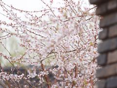 -三里河公园
