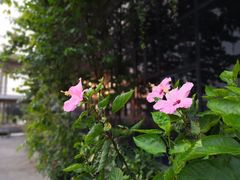 -广州市紫泥堂文化创意园景区