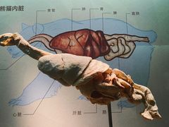 -深圳博物馆历史民俗馆