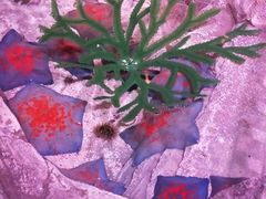 -沈阳海洋探索中心