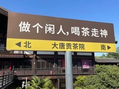 -大唐贡茶院