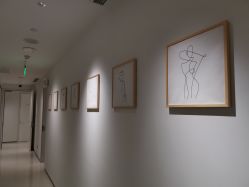 -纯粹医美