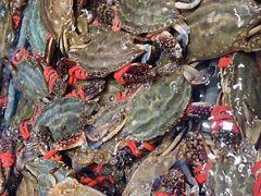 -映像威海·海鲜味道(经区店)