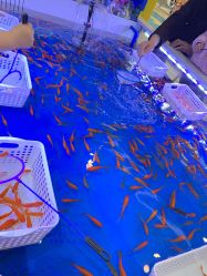 -皇家迪智尼(大融城店)