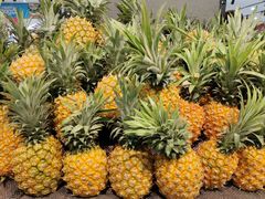 -御品轩(高新店)