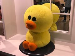 -line friends(明洞旗舰店)