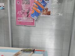 -美美宠物诊疗中心·异宠·骨科(滨江东信分院)