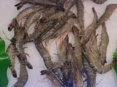 -藜爱·山海情海鲜自助(万达广场店)