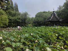 -上海醉白池公园