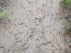 -北海金海湾红树林生态旅游区