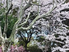 -黄兴公园