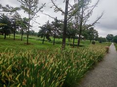 -汉长安城未央宫国家考古遗址公园