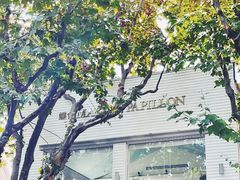 -蝶舍·MAISON PAPILLON