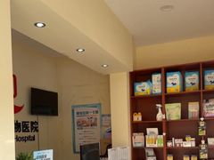 -艾贝尔宠物医院 ·内科全科(梁溪路店)
