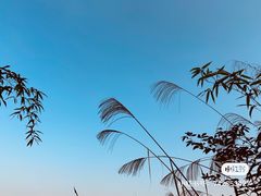 -远山有窑