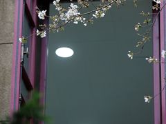 -武汉大学-樱园