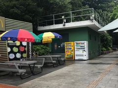 -九龙公园