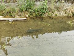 -会稽山峡洞漂流-上青古道