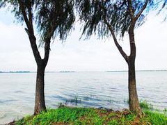 -漕湖湿地公园