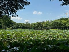 -顺峰山公园