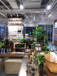 -悦诗风吟innisfree