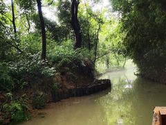 -西溪国家湿地公园