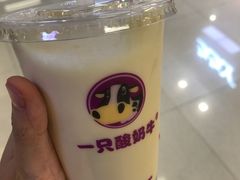 -一只酸奶牛(来福士店)