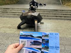 -广东惠东海龟国家级自然保护区