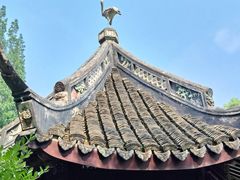 -上海醉白池公园