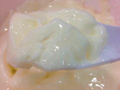 -澳洲牛奶公司(佐敦店)