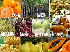 -桂林站