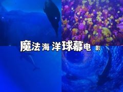 -海合安天津极地海洋公园