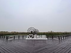 -宁波杭州湾国家湿地公园