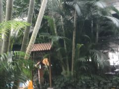 -金隅凤山酒店