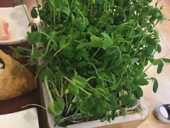 -皇城根(张杨店)