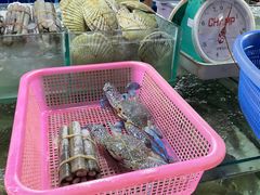 -班赞海鲜市场